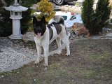 2011_03_27 256.jpg